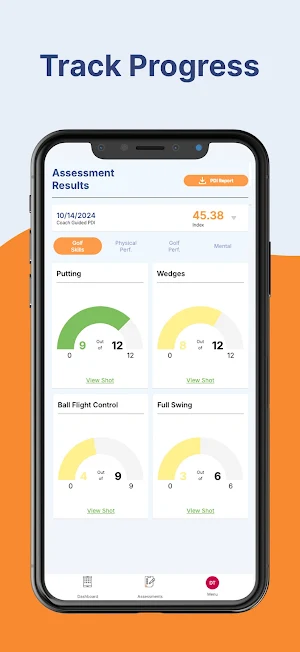 Golf PDI Screenshot 3