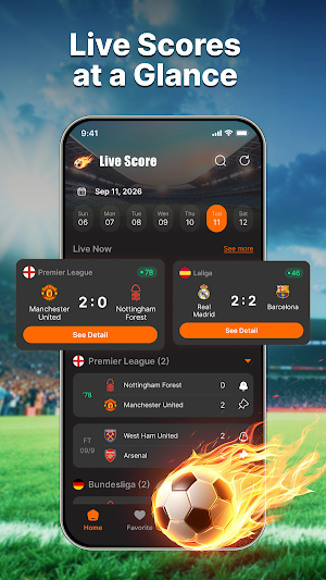 Football Live Score Update Screenshot 0