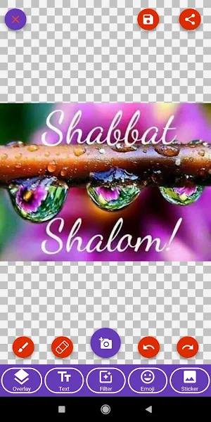 Jewish Festival Greetings: Photoframe, GIF, Quotes Screenshot 2