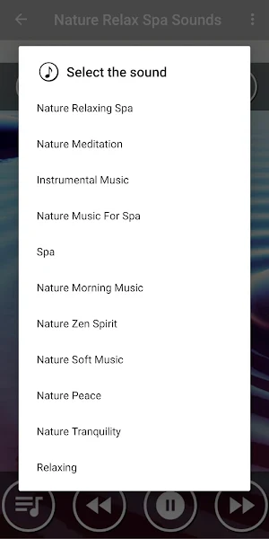 Relaxing Spa Music : Massage Music Screenshot 1