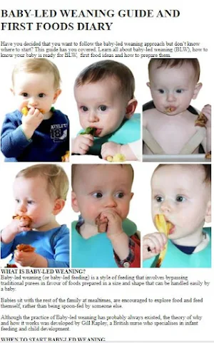 Baby Led Weaning Guide Screenshot 1