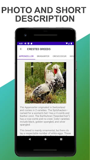 Breeds of Chickens Screenshot 3