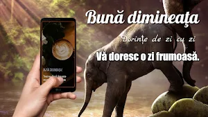 Romanian Morning & Night Greet Screenshot 1