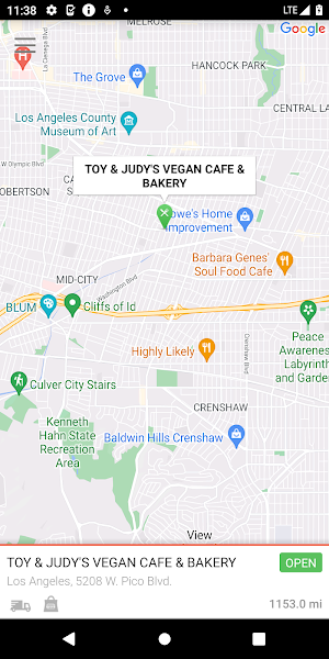 TOY & JUDY'S Vegan Bakery Café Screenshot 0