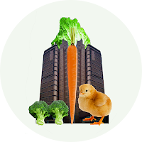 Citi Smart Farm