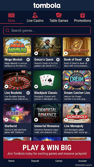 Tombola Screenshot 0