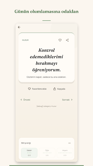 Olumlama Günlüğü: Manifest Screenshot 2