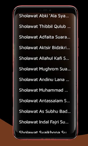Sholawat Nabi Terlengkap Offli Screenshot 3