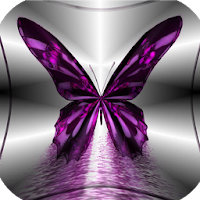 images of butterflies