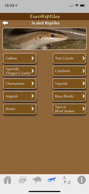 EuroReptiles Screenshot 1