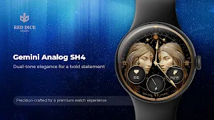 Reddice Gemini Analog SH4 Screenshot 0