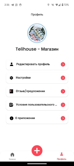 AylEx Business Screenshot 2