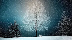 Tree wallpapers Screenshot 0