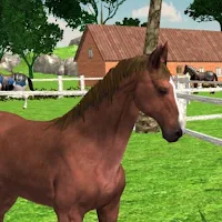 Horse Racing