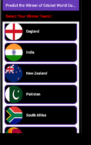 Cricket Worldcup Winner! Screenshot 0