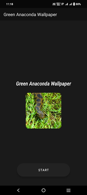 Green Anaconda Wallpaper Screenshot 1