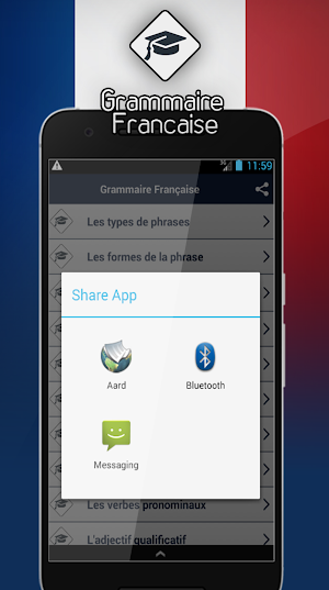 Grammaire Française Screenshot 3