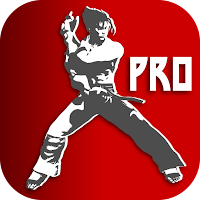 Learn super karate