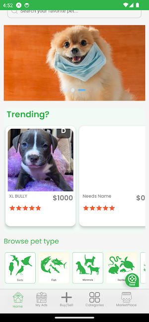 Petsbroz Screenshot 2