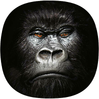 Gorilla Sounds