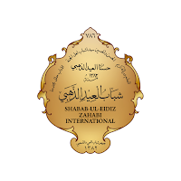 SEZ International