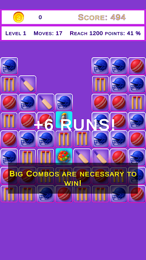 Cricket Match 3 Screenshot 3