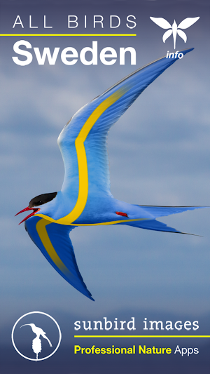 All Birds Sweden - A Sunbird Field Guide Screenshot 0