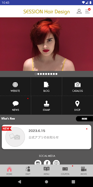 SESSION SASSOON SALON SHIP Screenshot 1