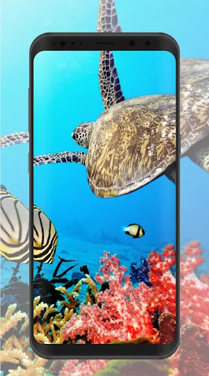 Tortoise Wallpaper Screenshot 1