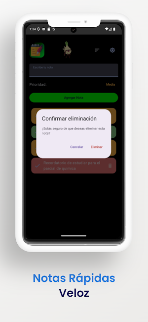 Notas Rápidas Screenshot 3