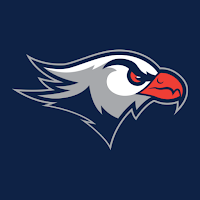 Lackawanna College Falcons
