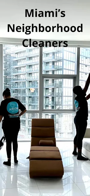 Arionclean Cleaners Screenshot 2