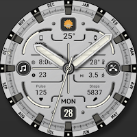 WFP 343 Fresh watch face