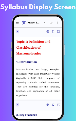 Macro Structure and Analysis Screenshot 3