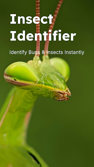 Insect Identifier - Insectr Screenshot 0