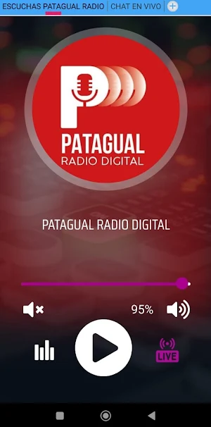 patagual radio digital Screenshot 1