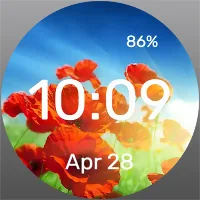 Poppy Still Life - Watch Face