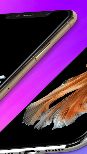 Betta Fish Live Wallpaper 4K Screenshot 3