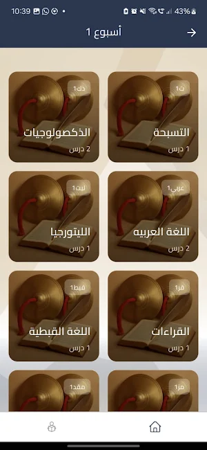 Aripsalin Screenshot 2