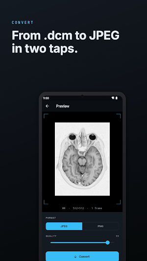 DICOM Converter & Tag Viewer Screenshot 1