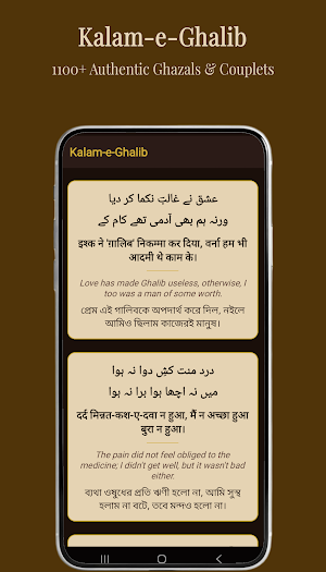 Mirza Ghalib Shayari Offline Screenshot 2