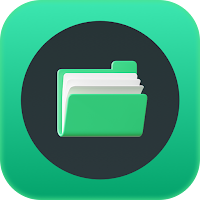 File cleaner manager