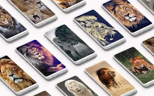 Lion Wallpaper 🦁 Screenshot 0