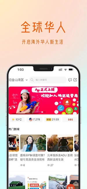 海华233-全球海外华人信息平台 Screenshot 0