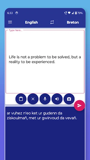 Breton English Translator Screenshot 2