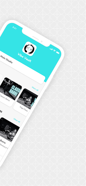 Vibe Vault Fit 2.0 (NEW) Screenshot 1