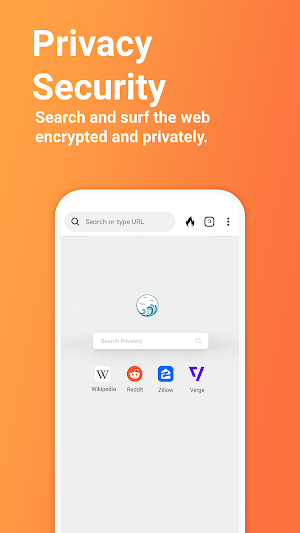 Ocean Private Proxy Browser Screenshot 3