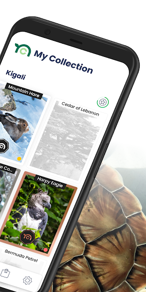 Nature Collectibles Screenshot 1