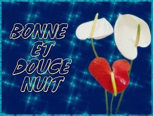 Bonne nuit Images 2023 Screenshot 0