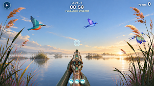 Windmere: Bird Arcade Screenshot 2